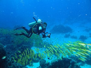 Dopo numerose immersioni subacquee emerge il tesoro del mare