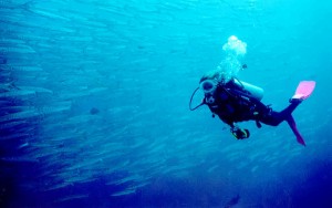 Muore sub all’isola di Calafuria: ennesima tragedia in mare