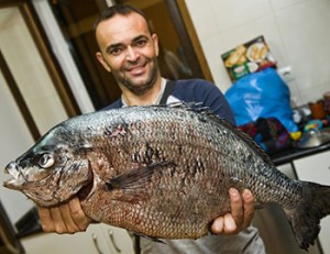 Sarago mostruoso: dalla Spagna un pizzuto di 6.2 kg, è record