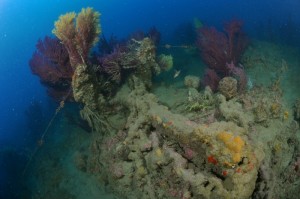 Portofino: divieto di pesca sportiva per 24 mesi