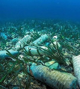 Il batterio mangia plastica potrebbe salvare il mare