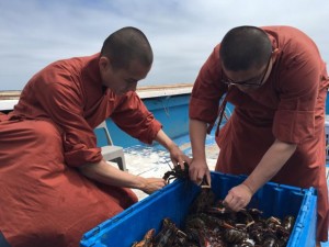 Aragoste comprate e liberate nell’oceano: questo il gesto di pace dei monaci buddisti