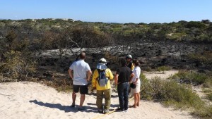 Spara un razzo di segnalazione, va a fuoco la riserva naturale: Formentera furiosa contro gli italiani cafoni