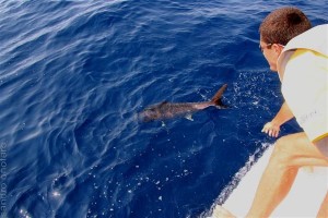 La grande pesca d’altura sbarca al Salone con The O’, gara di pesca al Blufin Tuna