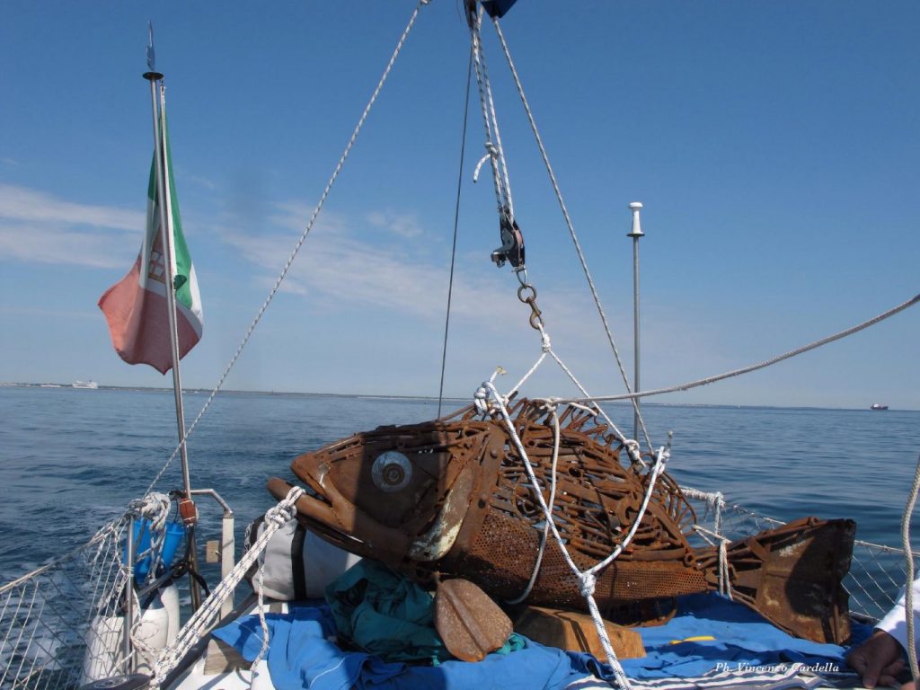 Le operazioni per portare in mare la cernia dalla barca