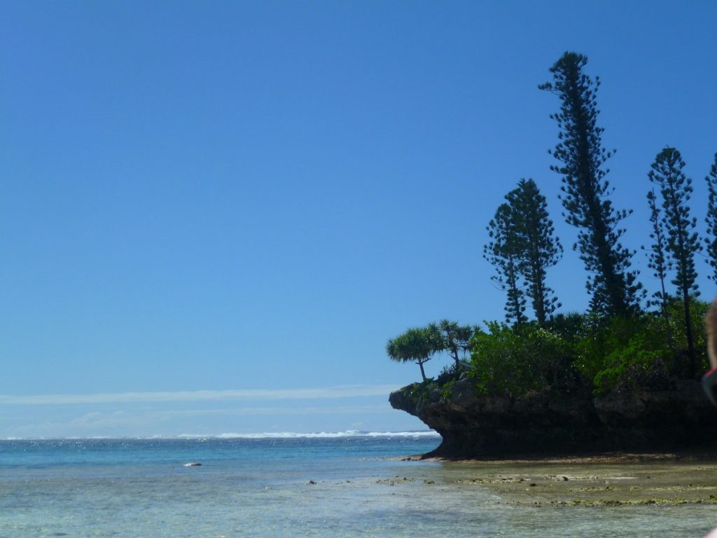 La bassa marea sull'Isola dei Pini