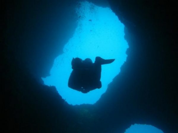 Immergersi tra la Gallinara e Spotorno: la guida di Liguria Nautica