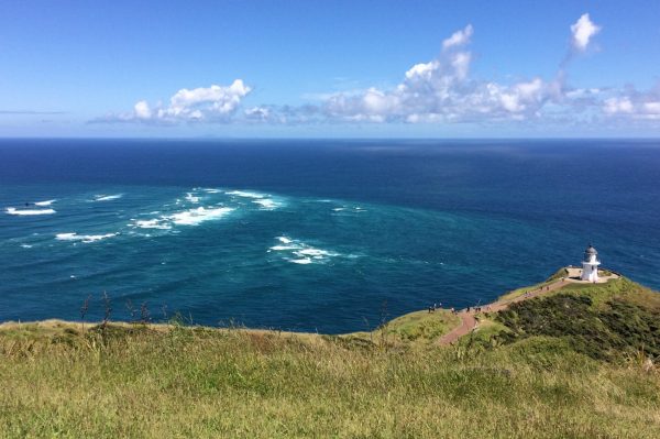 In Nuova Zelanda il faro che illumina l’unione dei due oceani