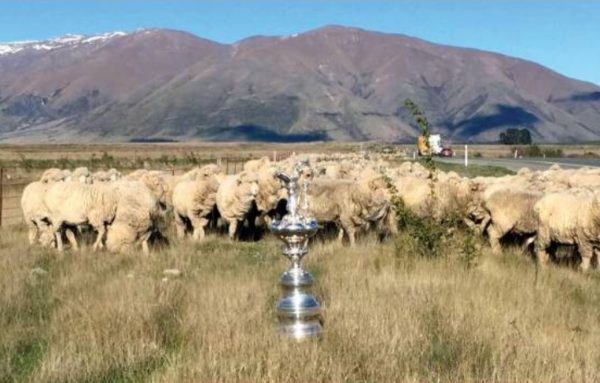 L’America’s Cup in tour per la Nuova Zelanda: dalle stelle alle stalle