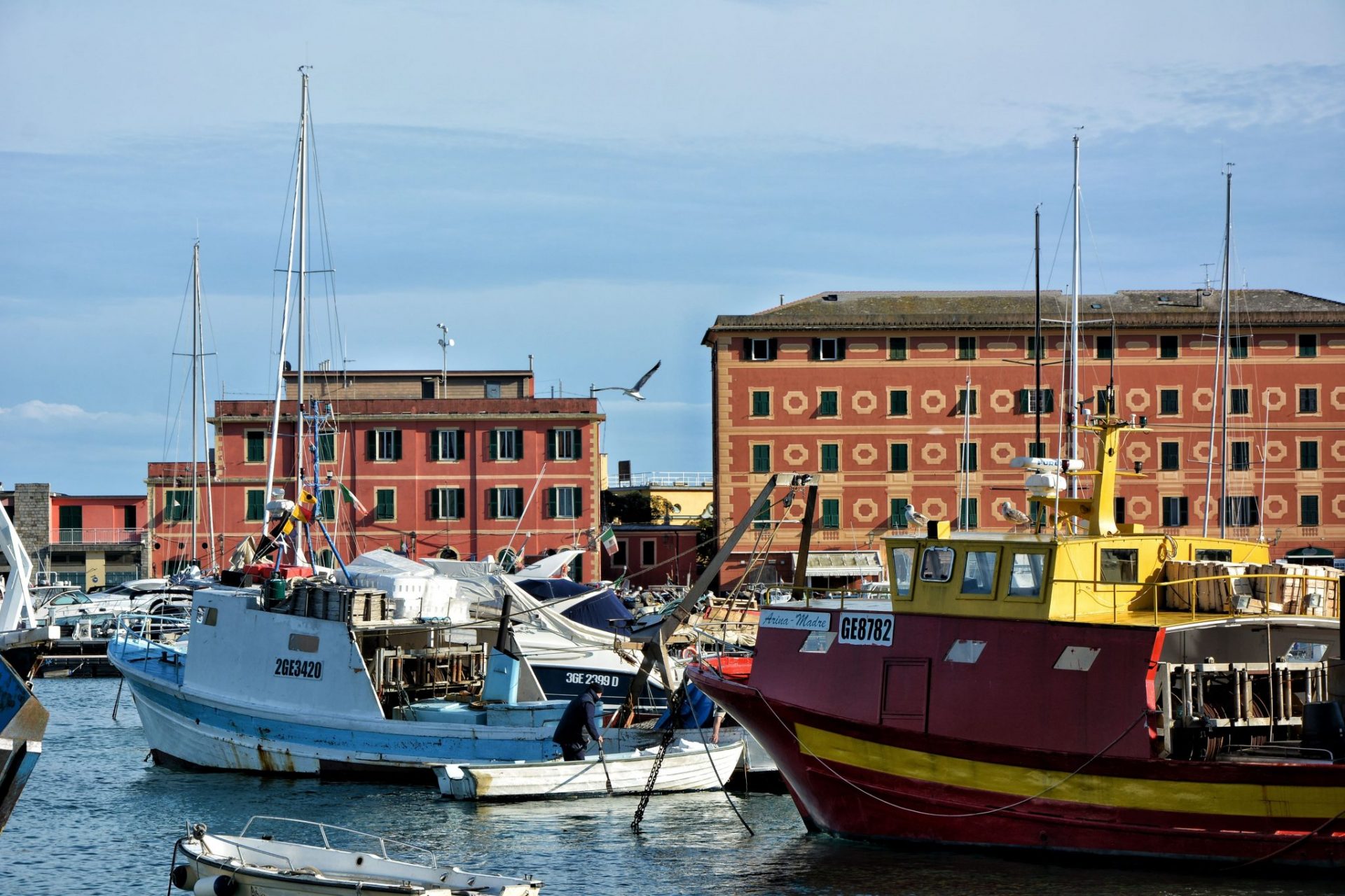 Alcuni dei pescherecci della cooperativa di pescatori di Santa Margherita 