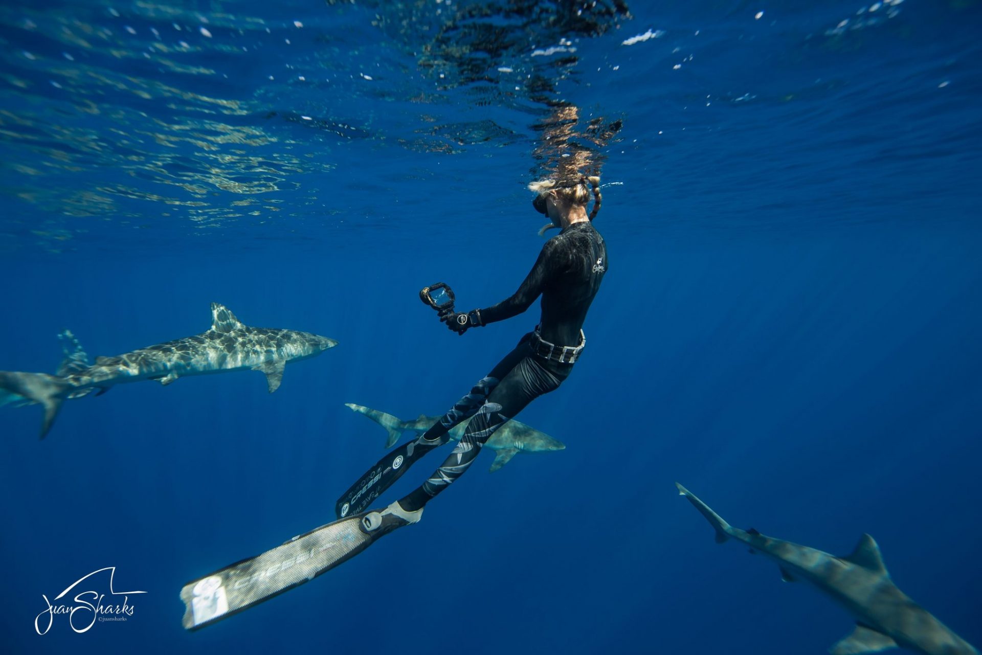 Ocean Ramsey foto @JuanSharks