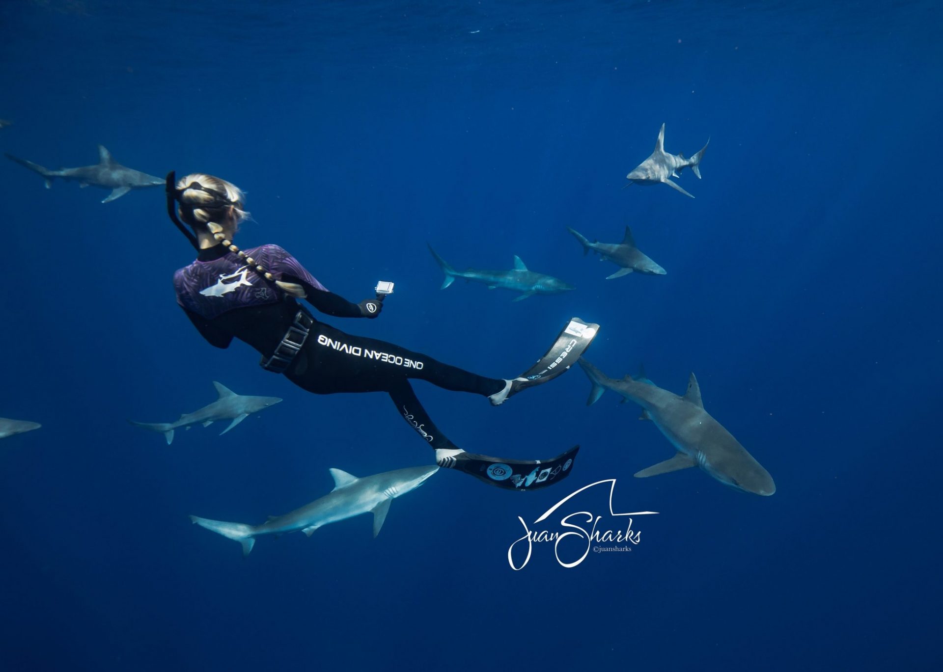 Ocean Ramsey foto @JuanSharks