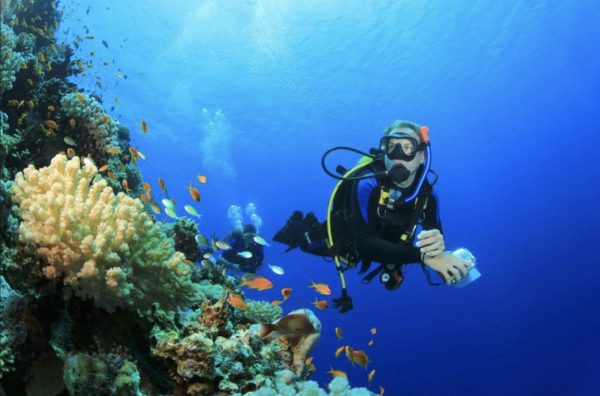 Immergersi tra Sestri Levante e la Spezia. La guida di Liguria Nautica