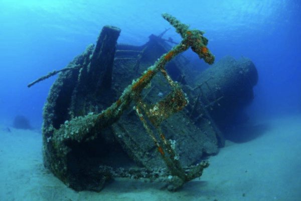 Immergersi all’Elba: la costa meridionale