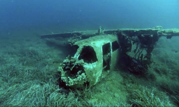 Immergersi all’Elba: il promontorio di Capolivieri