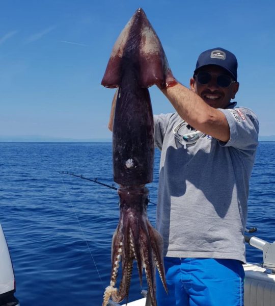 Totano gigante pescato a canna nel golfo di Genova