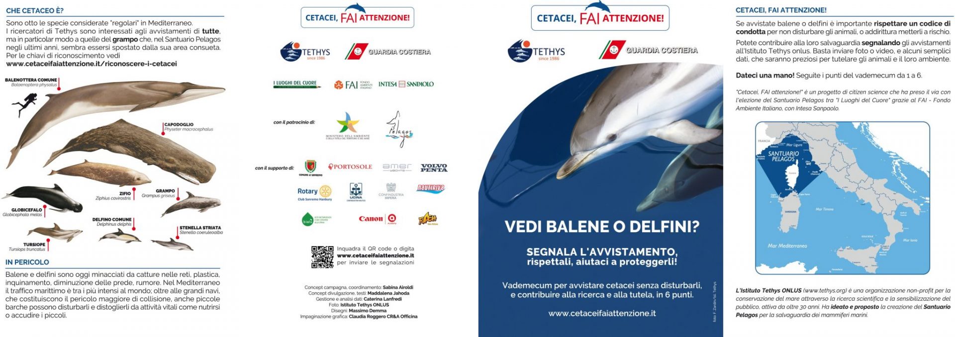 Cetacei FAI attenzione - Vademecum_fronte