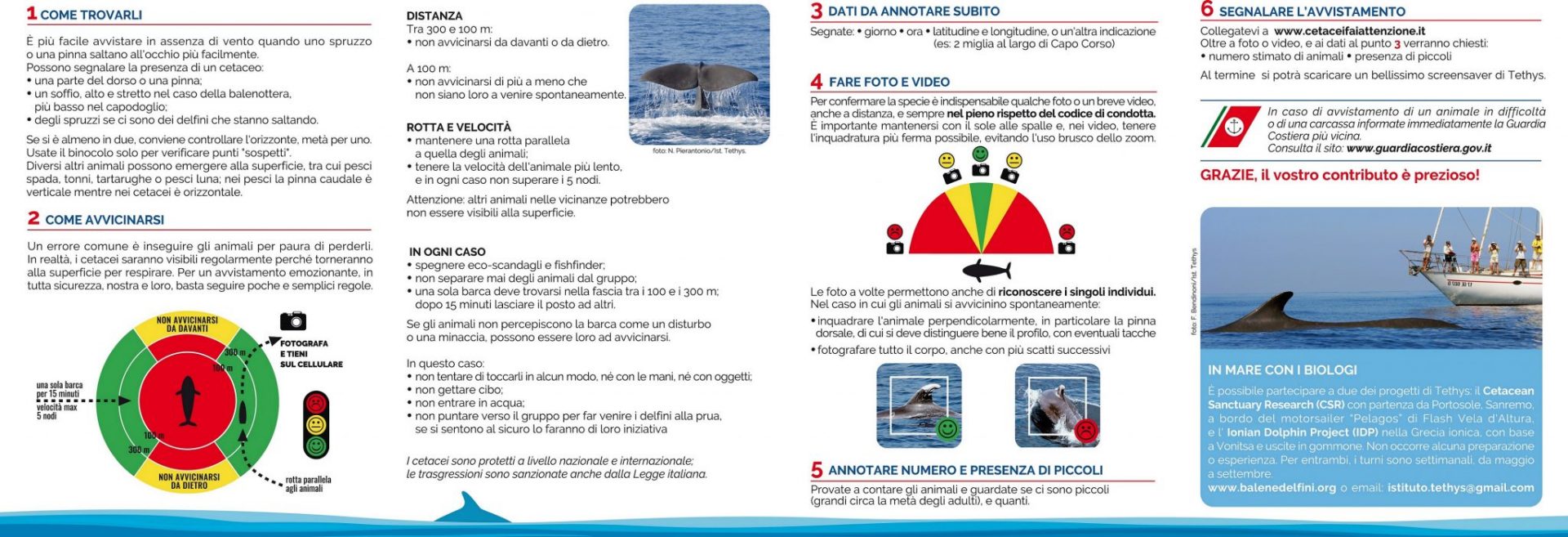 Cetacei FAI attenzione - Vademecum_retro