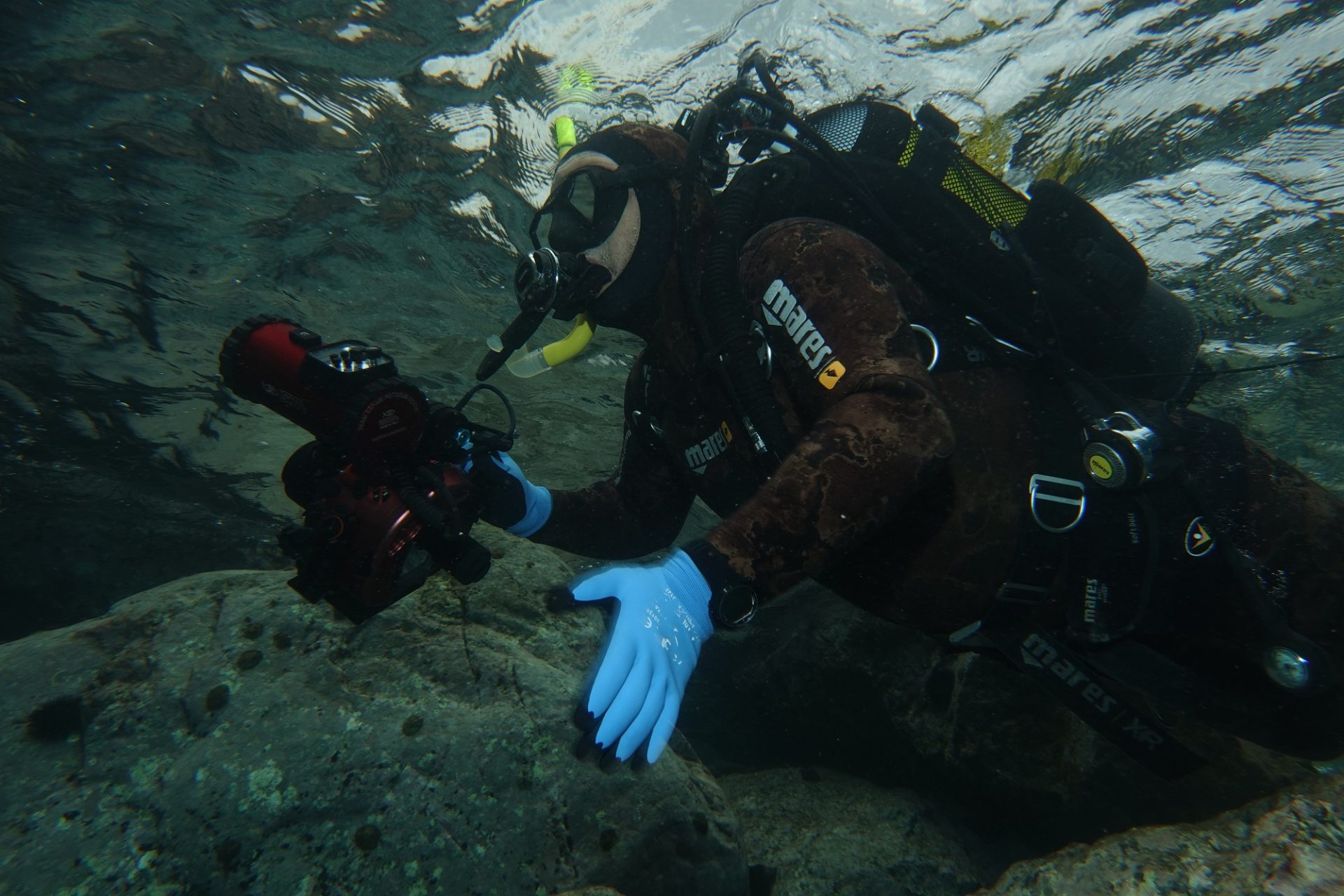 Sestri Levante Safari Fotosub 2019 (12)