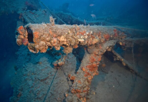 La storia dell’Umberto I: una meravigliosa immersione nelle acque della Liguria