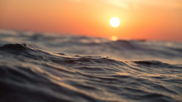 “Oceano”, la navigazione filosofica di Roberto Casati: ecco perché l’uomo dipende dal mare