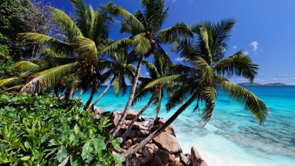 “Seychelles Cruising guide”: parla italiano il portolano del paradiso tropicale dell’Oceano Indiano