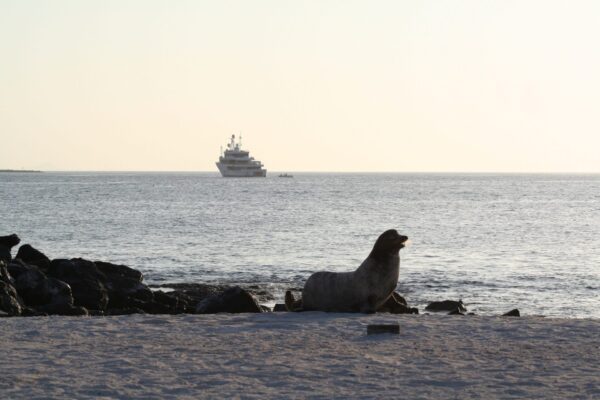 Captain’s log. Travelling to the marvellous Galapagos