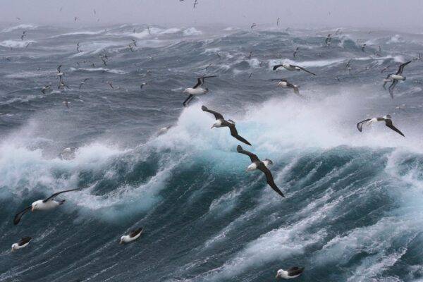 Simple rules to understand the wind at sea