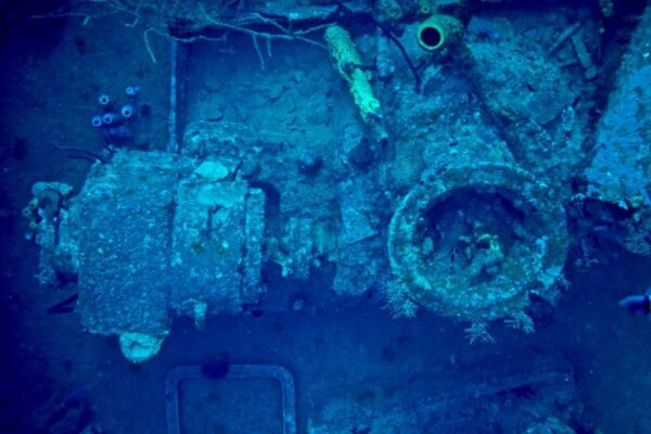 Relitti caraibici: il St George Wreck nella Repubblica Dominicana