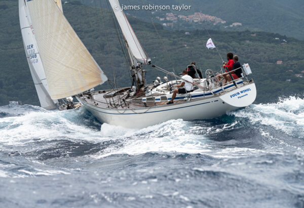 SWANs sailing in the wind