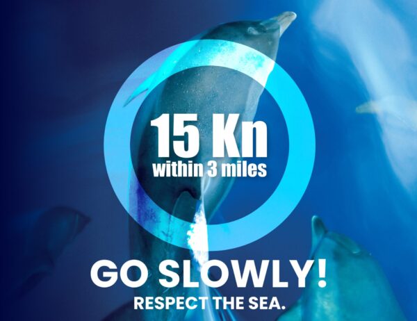 La campagna “Go Slowly!” di Amer Yachts riceve il patrocinio della Commissione europea