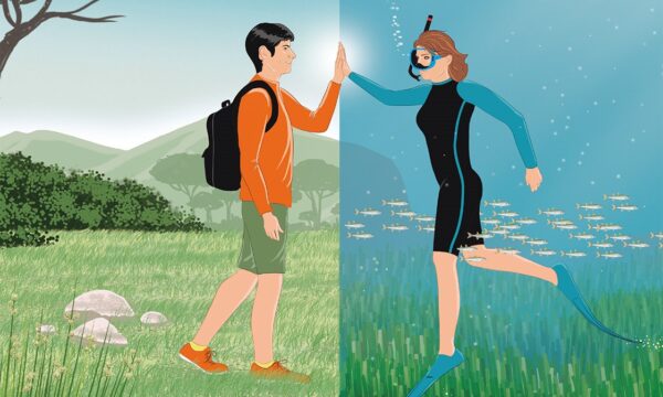 “Di terra o di mare”, il libro per far scoprire l’habitat marino ai bambini