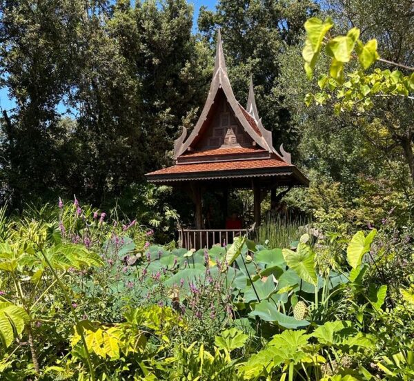 Giardini vista mare: “La Mortella” ad Ischia