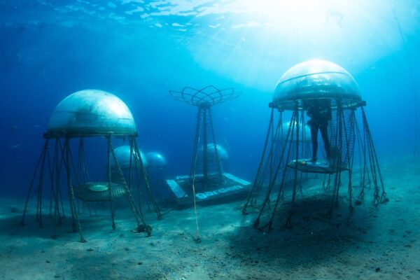 Grande successo per il “Giardino di Nemo”: in Liguria il basilico cresce anche sott’acqua