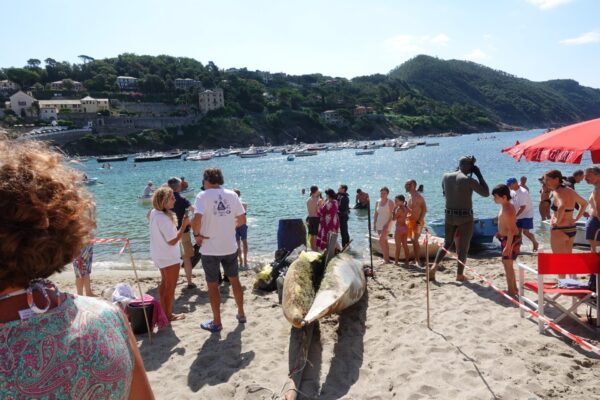 Doppio successo per le operazioni “Fondali Puliti 2024” in Liguria – Le foto