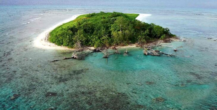 A Robinson Crusoe style holiday: learn to survive on a deserted island