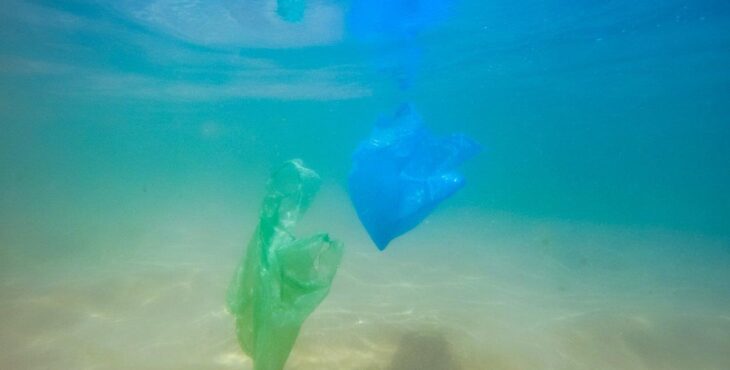 L’appello degli scienziati: “Il trattato Onu sulla plastica deve includere tagli alla sua produzione”