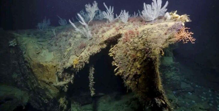 Team di ricercatori guidato da Robert Ballard ritrova la prua dell’USS New Orleans