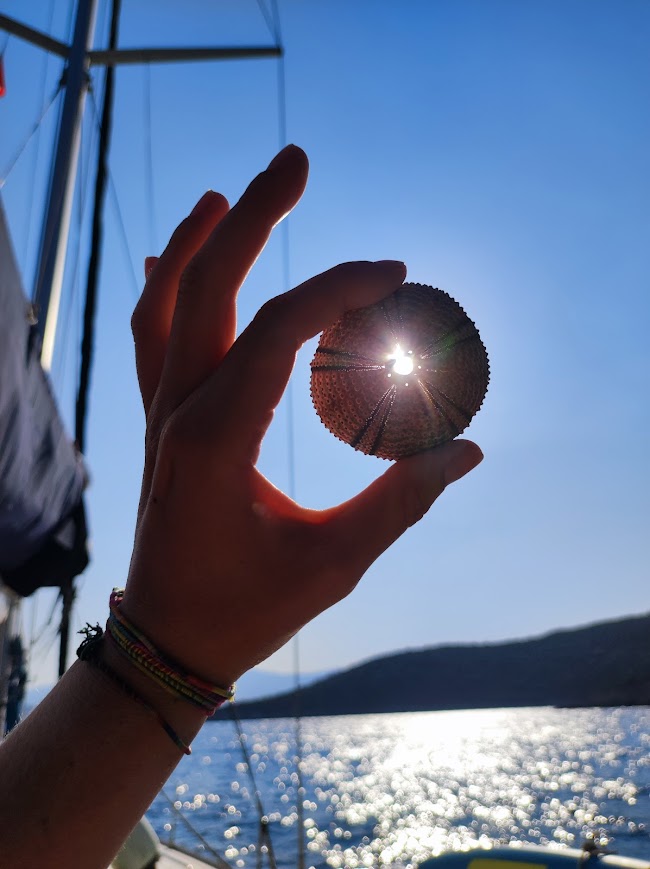 Scienza tra le onde: come trasformare la barca in un osservatorio galleggiante