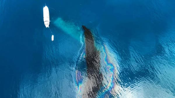 Perdita di petrolio da un relitto della Seconda Guerra Mondiale: è stato di emergenza in Micronesia